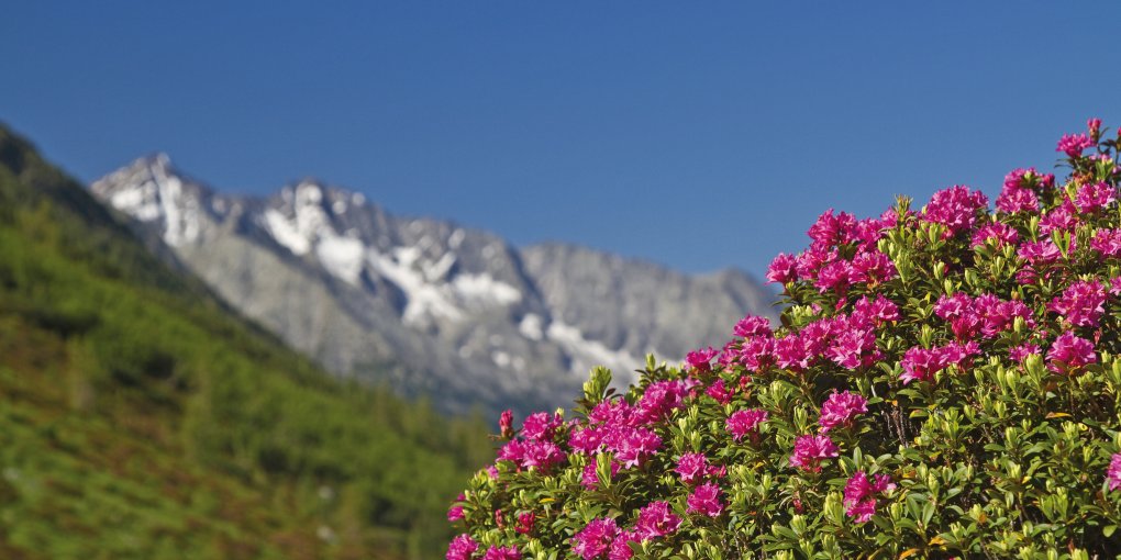 Südtirol Italien © Hans und Christa Ede - stock.adobe.com