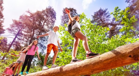 Wandern durch den Wald © Sergey Novikov - stock.adobe.com