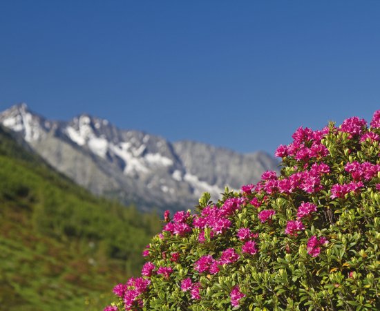 Südtirol Italien © Hans und Christa Ede - stock.adobe.com
