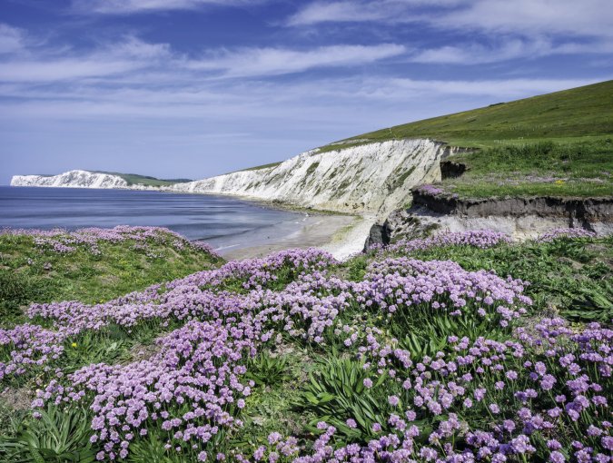 Compton Isle of Wight Südengland Großbritannien © chris-fotolia.com