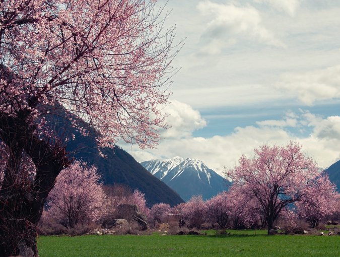 Jahreszeit, Frühjahr © pixabay